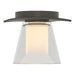 Hubbardton Forge - One Light Semi-Flush Mount - Wren - Dark Smoke- Union Lighting Luminaires Decor