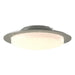 Hubbardton Forge - Two Light Semi-Flush Mount - Oceanus - Sterling- Union Lighting Luminaires Decor