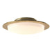 Hubbardton Forge - Two Light Semi-Flush Mount - Oceanus - Modern Brass- Union Lighting Luminaires Decor