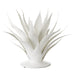 Currey and Company - Objet - Agave Collection - Gesso White- Union Lighting Luminaires Decor