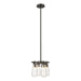 Hubbardton Forge - Four Light Semi-Flush/Pendant - Eos - Dark Smoke- Union Lighting Luminaires Decor