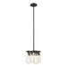 Hubbardton Forge - Four Light Semi-Flush/Pendant - Eos - Black- Union Lighting Luminaires Decor