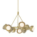Hubbardton Forge - Nine Light Pendant - Brooklyn - Modern Brass- Union Lighting Luminaires Decor