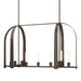 Hubbardton Forge - Nine Light Pendant - Triomphe - Bronze- Union Lighting Luminaires Decor