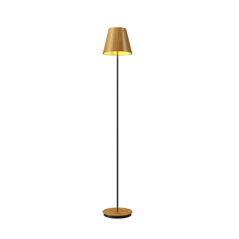 Accord Lighting - One Light Floor Lamp - Conical - Louro Freijo- Union Lighting Luminaires Decor