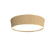 Accord Lighting - LED Ceiling Mount - Conic - Maple- Union Lighting Luminaires Decor