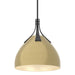 Hubbardton Forge - One Light Pendant - Summit - Black- Union Lighting Luminaires Decor
