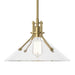 Hubbardton Forge - One Light Pendant - Henry - Modern Brass- Union Lighting Luminaires Decor