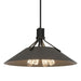 Hubbardton Forge - Four Light Pendant - Henry - Black- Union Lighting Luminaires Decor
