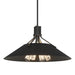 Hubbardton Forge - Four Light Pendant - Henry - Black- Union Lighting Luminaires Decor