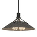 Hubbardton Forge - Four Light Pendant - Henry - Black- Union Lighting Luminaires Decor