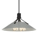 Hubbardton Forge - Four Light Pendant - Henry - Black- Union Lighting Luminaires Decor