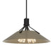 Hubbardton Forge - Four Light Pendant - Henry - Black- Union Lighting Luminaires Decor
