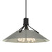 Hubbardton Forge - Four Light Pendant - Henry - Black- Union Lighting Luminaires Decor