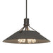 Hubbardton Forge - Four Light Pendant - Henry - Oil Rubbed Bronze- Union Lighting Luminaires Decor