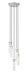 Z-Lite Canada - Five Light Chandelier - Beau - Brushed Nickel- Union Lighting Luminaires Decor