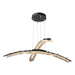 Hubbardton Forge - LED Pendant - Glissade - Black- Union Lighting Luminaires Decor