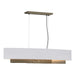 Hubbardton Forge - Four Light Pendant - Oceanus - Soft Gold- Union Lighting Luminaires Decor