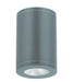 W.A.C. Canada - LED Flush Mount - Tube Arch - Graphite- Union Lighting Luminaires Decor