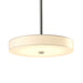 Hubbardton Forge - LED Pendant - Disq - Vintage Platinum- Union Lighting Luminaires Decor