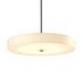Hubbardton Forge - LED Pendant - Disq - Vintage Platinum- Union Lighting Luminaires Decor