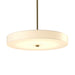 Hubbardton Forge - LED Pendant - Disq - Modern Brass- Union Lighting Luminaires Decor
