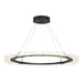 Hubbardton Forge - LED Pendant - Anemone - Black- Union Lighting Luminaires Decor