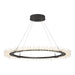 Hubbardton Forge - LED Pendant - Anemone - Natural Iron- Union Lighting Luminaires Decor