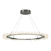 Hubbardton Forge - LED Pendant - Anemone - Sterling- Union Lighting Luminaires Decor