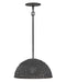 Hinkley Canada - LED Pendant - Dalia - Black- Union Lighting Luminaires Decor