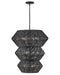 Hinkley Canada - LED Chandelier - Luca - Black- Union Lighting Luminaires Decor