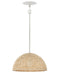 Hinkley Canada - LED Pendant - Dalia - Textured Plaster- Union Lighting Luminaires Decor