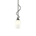 Hubbardton Forge - One Light Mini Pendant - Flora - Natural Iron- Union Lighting Luminaires Decor