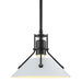 Hubbardton Forge - One Light Pendant - Henry - Black- Union Lighting Luminaires Decor