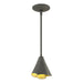 Hubbardton Forge - One Light Mini Pendant - Mobius - Natural Iron- Union Lighting Luminaires Decor