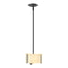 Hubbardton Forge - One Light Mini Pendant - Exos Glass - Black- Union Lighting Luminaires Decor