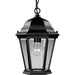 Progress Canada - One Light Hanging Lantern - Welbourne - Textured Black- Union Lighting Luminaires Decor