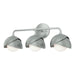 Hubbardton Forge - Three Light Bath Sconce - Brooklyn - Vintage Platinum- Union Lighting Luminaires Decor