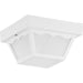 Progress Canada - One Light Outdoor Flush Mount - Ceiling Mount - Polycarbonate - White- Union Lighting Luminaires Decor