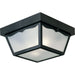 Progress Canada - Two Light Outdoor Flush Mount - Ceiling Mount - Polycarbonate - Black- Union Lighting Luminaires Decor