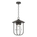 Hubbardton Forge - One Light Outdoor Pendant - Erlenmeyer - Coastal Oil Rubbed Bronze- Union Lighting Luminaires Decor