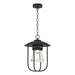 Hubbardton Forge - One Light Outdoor Pendant - Erlenmeyer - Coastal Black- Union Lighting Luminaires Decor