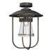 Hubbardton Forge - One Light Outdoor Semi-Flush Mount - Erlenmeyer - Coastal Natural Iron- Union Lighting Luminaires Decor