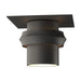 Hubbardton Forge - One Light Outdoor Semi-Flush Mount - Twilight - Coastal Natural Iron- Union Lighting Luminaires Decor