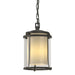 Hubbardton Forge - One Light Outdoor Ceiling Fixture - Meridian - Coastal Natural Iron- Union Lighting Luminaires Decor