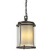 Hubbardton Forge - One Light Outdoor Ceiling Fixture - Meridian - Coastal Dark Smoke- Union Lighting Luminaires Decor