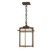 Hubbardton Forge - One Light Outdoor Ceiling Fixture - Tourou - Coastal Bronze- Union Lighting Luminaires Decor