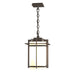 Hubbardton Forge - One Light Outdoor Ceiling Fixture - Tourou - Coastal Dark Smoke- Union Lighting Luminaires Decor
