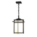 Hubbardton Forge - One Light Outdoor Ceiling Fixture - Tourou - Coastal Black- Union Lighting Luminaires Decor