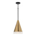 Capital Lighting - One Light Pendant - Avant - Aged Brass and Black- Union Lighting Luminaires Decor